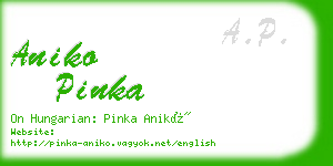 aniko pinka business card